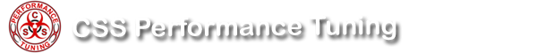 CSS Performance Tuning
